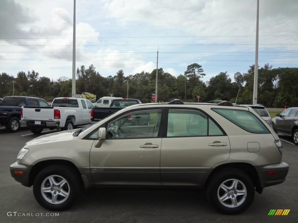 2003 RX 300 - Burnished Gold Metallic / Ivory photo #2