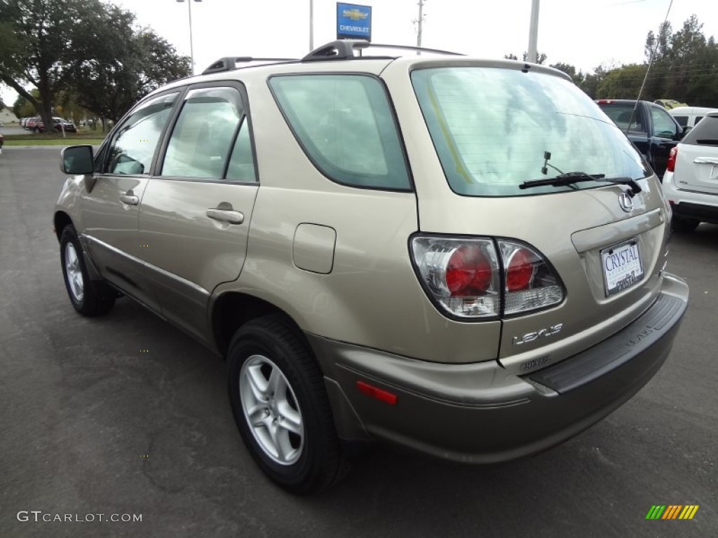 2003 RX 300 - Burnished Gold Metallic / Ivory photo #3