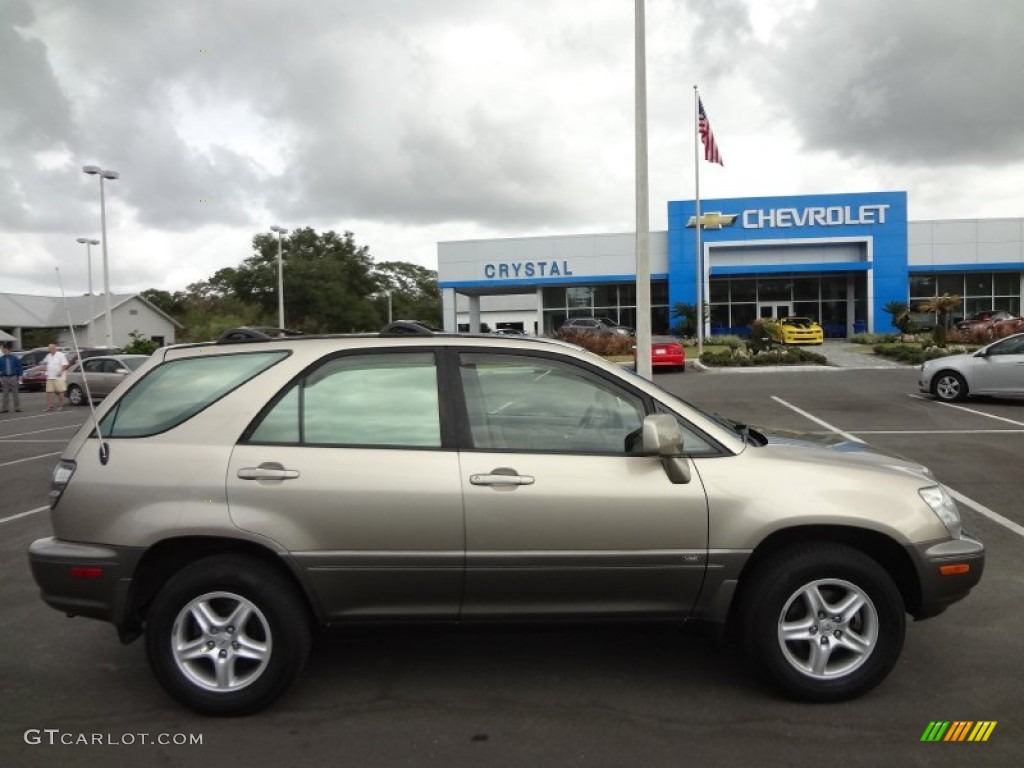 2003 RX 300 - Burnished Gold Metallic / Ivory photo #10