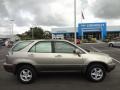 2003 Burnished Gold Metallic Lexus RX 300  photo #10