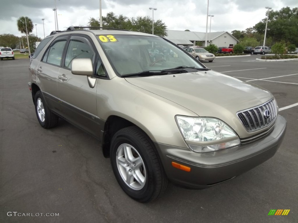 2003 RX 300 - Burnished Gold Metallic / Ivory photo #11