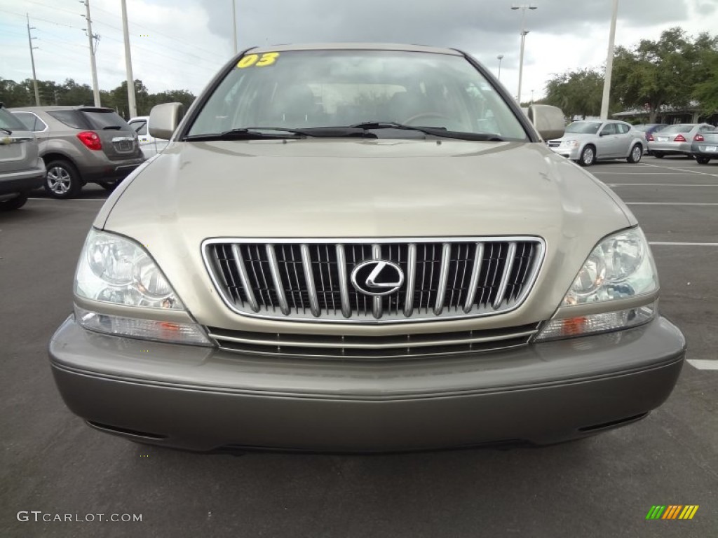 2003 RX 300 - Burnished Gold Metallic / Ivory photo #14