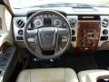 Tan Dashboard Photo for 2010 Ford F150 #73551926
