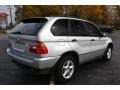 Titanium Silver Metallic - X5 3.0i Photo No. 6