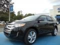 2013 Tuxedo Black Metallic Ford Edge Limited  photo #1