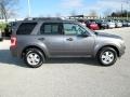 2009 Sterling Grey Metallic Ford Escape XLT V6  photo #3