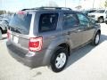 2009 Sterling Grey Metallic Ford Escape XLT V6  photo #10