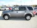 2009 Sterling Grey Metallic Ford Escape XLT V6  photo #11