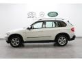 Alpine White - X5 3.0si Photo No. 2