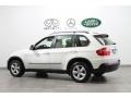 Alpine White - X5 3.0si Photo No. 5