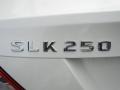 2013 Diamond White Metallic Mercedes-Benz SLK 250 Roadster  photo #5