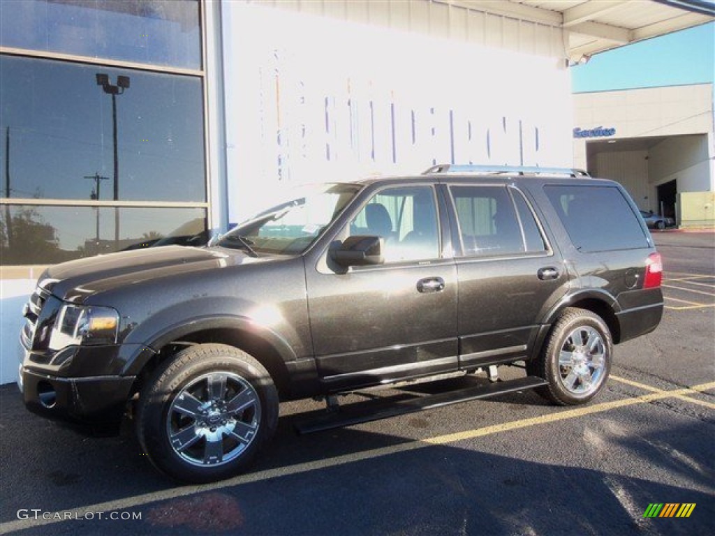 2010 Expedition Limited - Tuxedo Black / Charcoal Black photo #3