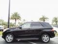 Black - ML 350 4Matic Photo No. 2