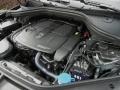 Black - ML 350 4Matic Photo No. 12