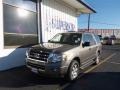 2010 Sterling Grey Metallic Ford Expedition XLT  photo #1