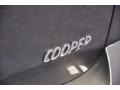 Royal Gray Metallic - Cooper Countryman Photo No. 17