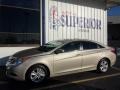 Camel Pearl - Sonata GLS Photo No. 5