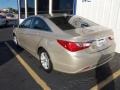 Camel Pearl - Sonata GLS Photo No. 6