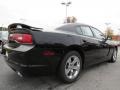 Pitch Black - Charger SE Photo No. 3