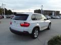 Alpine White - X5 xDrive30i Photo No. 3