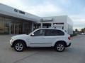 Alpine White - X5 xDrive30i Photo No. 5