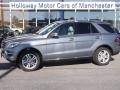 Palladium Silver Metallic - ML 350 4Matic Photo No. 1