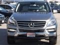 Palladium Silver Metallic - ML 350 4Matic Photo No. 2