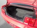 Dark Charcoal Trunk Photo for 2005 Ford Mustang #73576325
