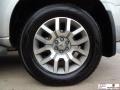 Silver Lightning Metallic - Pathfinder LE Photo No. 35