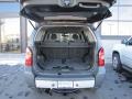 Night Armor Metallic - Xterra Off Road 4x4 Photo No. 9