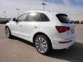 Ibis White - Q5 2.0 TFSI hybrid quattro Photo No. 3