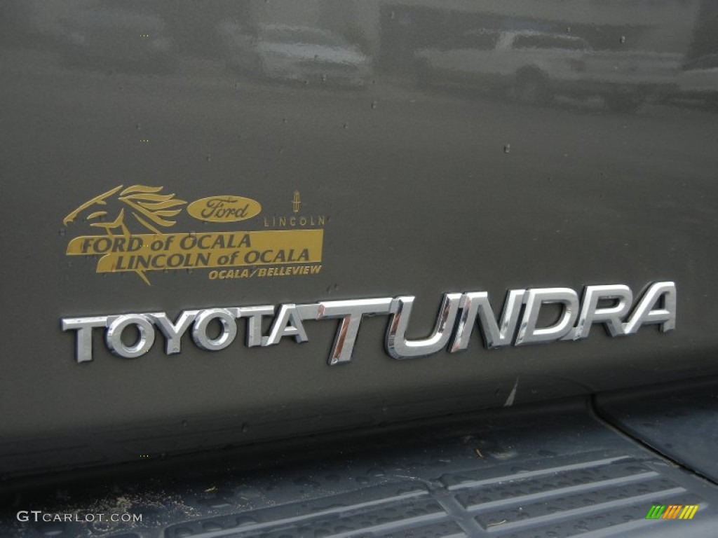 2006 Tundra Limited Access Cab - Phantom Gray Pearl / Dark Gray photo #10