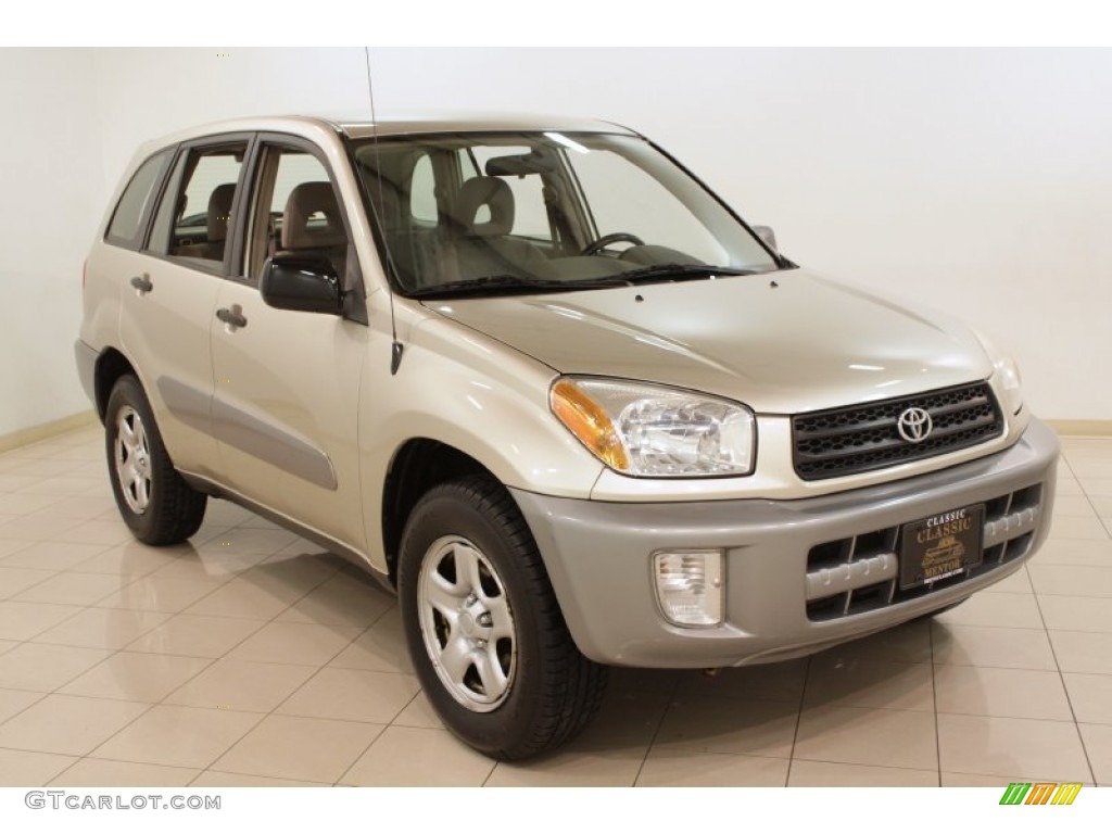 2003 RAV4 4WD - Vintage Gold / Taupe photo #1