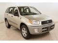 2003 Vintage Gold Toyota RAV4 4WD #73581592