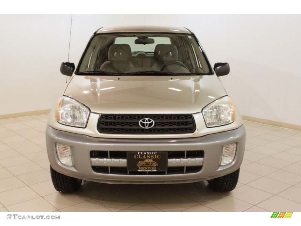 2003 RAV4 4WD - Vintage Gold / Taupe photo #2