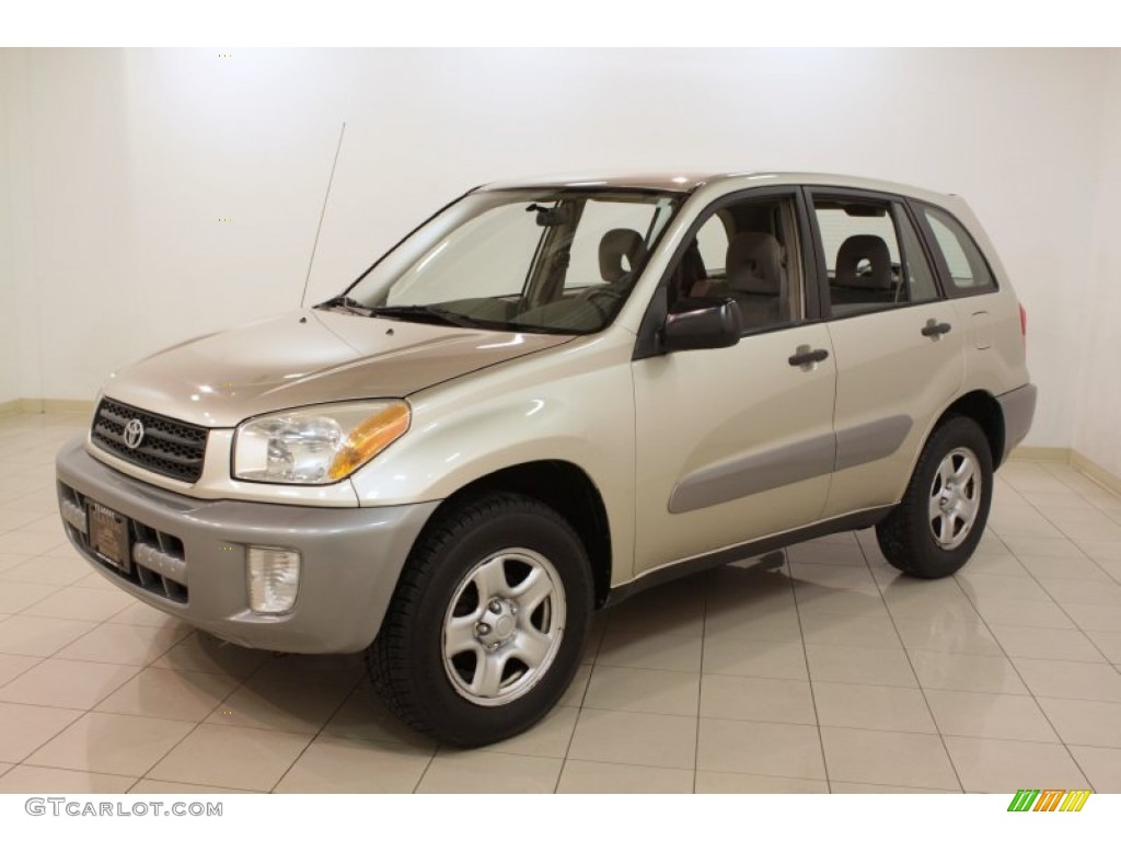 2003 RAV4 4WD - Vintage Gold / Taupe photo #3