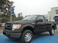 2013 Tuxedo Black Metallic Ford F150 XL Regular Cab  photo #1