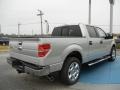 Ingot Silver Metallic 2013 Ford F150 XLT SuperCrew Exterior