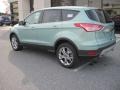 2013 Frosted Glass Metallic Ford Escape SEL 1.6L EcoBoost 4WD  photo #3