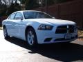 Ivory Pearl - Charger SE Photo No. 2