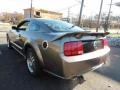 2005 Mineral Grey Metallic Ford Mustang GT Deluxe Coupe  photo #7