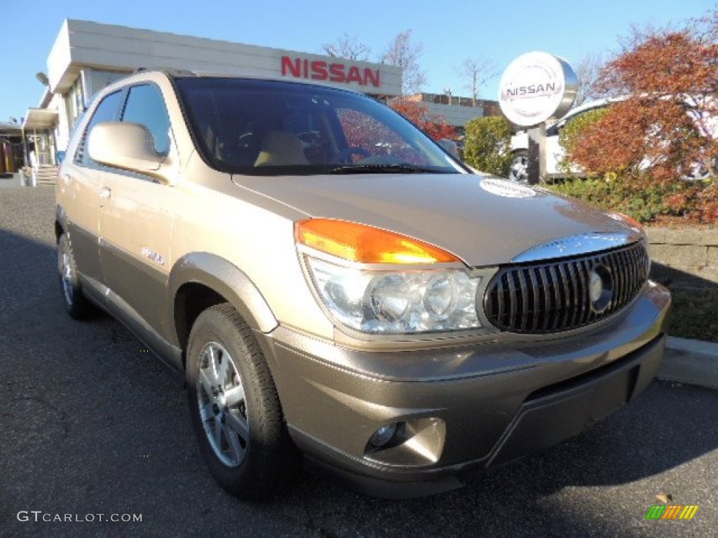 2002 Rendezvous CXL AWD - Light Driftwood / Medium Oak photo #1