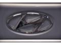 Quicksilver - Elantra GLS Photo No. 16