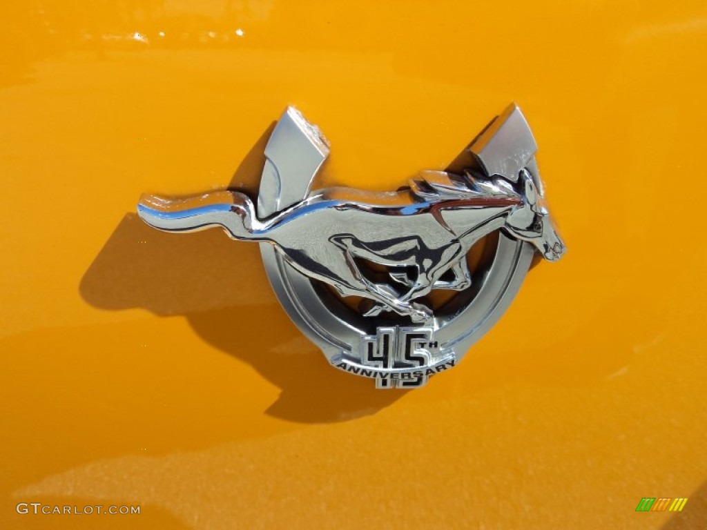 2009 Ford Mustang GT Premium Coupe Marks and Logos Photos