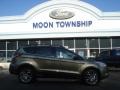 2013 Ginger Ale Metallic Ford Escape SEL 2.0L EcoBoost 4WD  photo #1