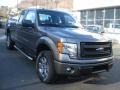 2013 Sterling Gray Metallic Ford F150 STX SuperCab 4x4  photo #2