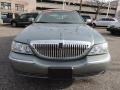 Light Tundra Metallic - Town Car Sedan Photo No. 3