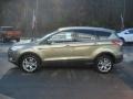 2013 Ginger Ale Metallic Ford Escape SEL 1.6L EcoBoost  photo #5