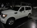 Stone White - Nitro SLT Photo No. 2