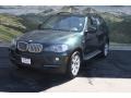 Deep Green Metallic - X5 xDrive48i Photo No. 5